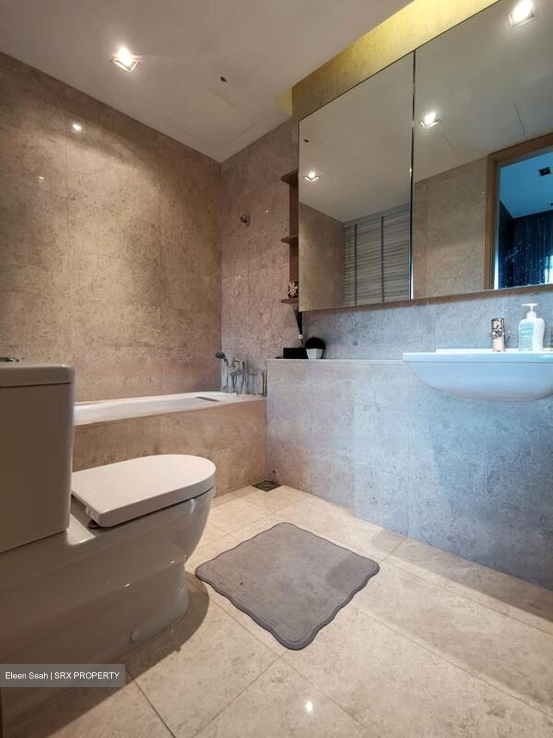 Soleil @ Sinaran (D11), Condominium #457140081